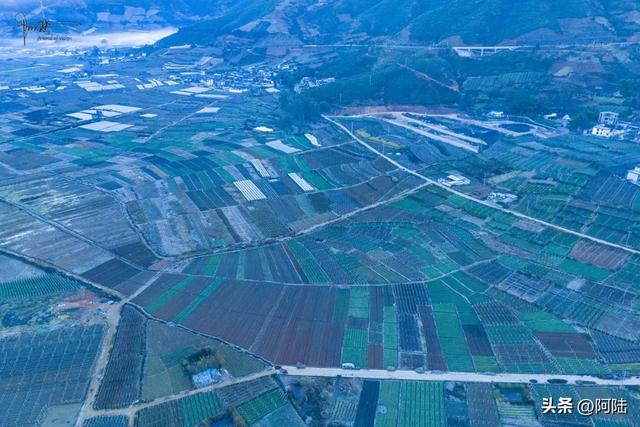 大理有个湿地很奇葩，水域面积少得可怜，路过的游客都看懵了