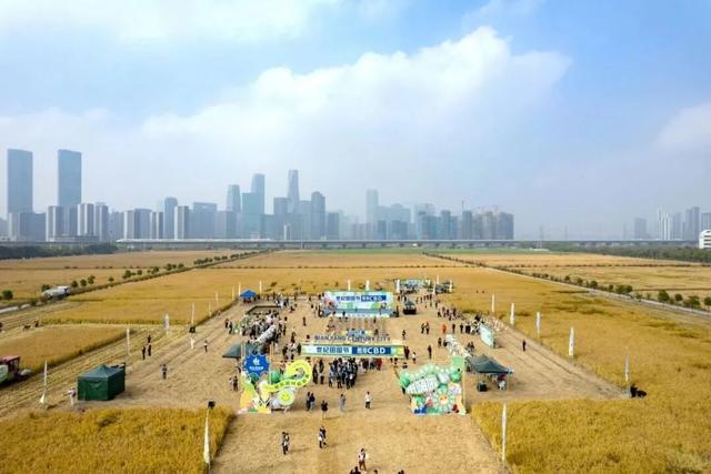 倒计时1天！来稻田CBD，觅都市桃花源