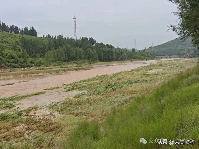 昨天大雨后我们走沿河路逆流而上，看弥河大水