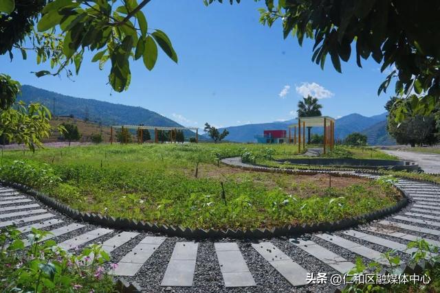 金台子村花海进入最佳观赏期，氛围感拉满了！