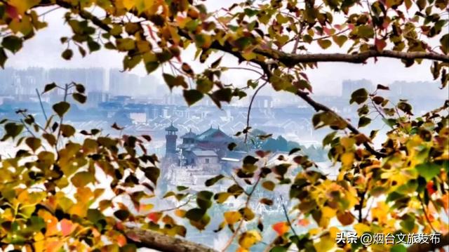 【乐游烟台】@烟台人，初冬来蓬莱老北山撒欢吧！