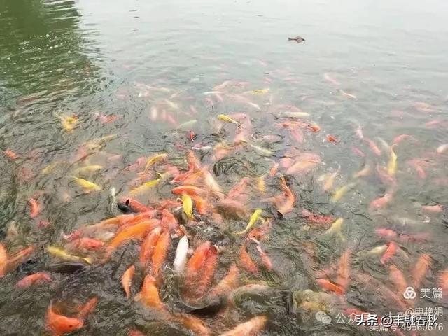 邂逅北京房山牛口峪湿地公园：工业废水的生态蝶变｜ 申艳娟