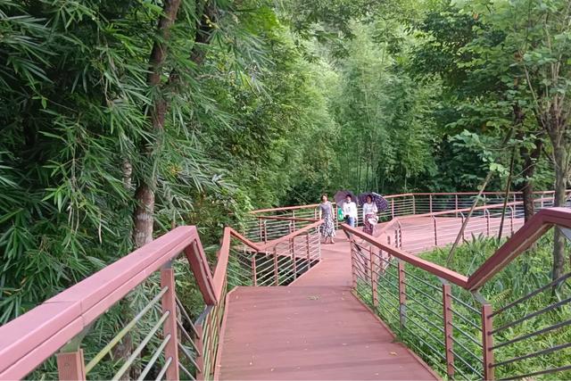 怀集的四季!带你回顾,带你深入