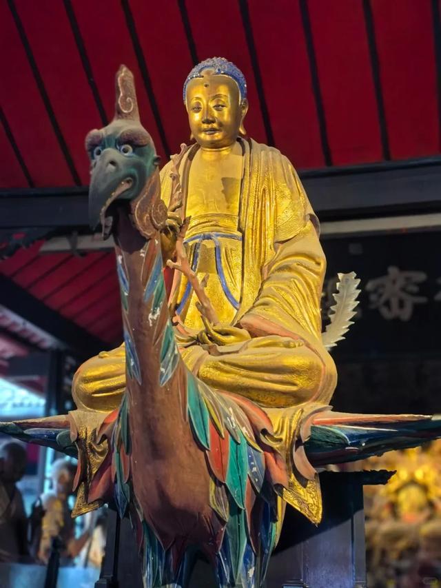 快去！成都金秋赏桂NO.1，地铁3号线直达，错过等一年！