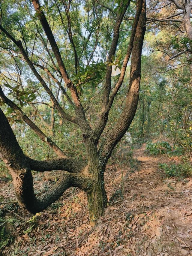 逛起来！8小时10个公园！