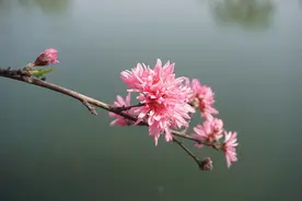 一个女人，能够在4件事上保持低调，说明相当厉害、很聪明图片