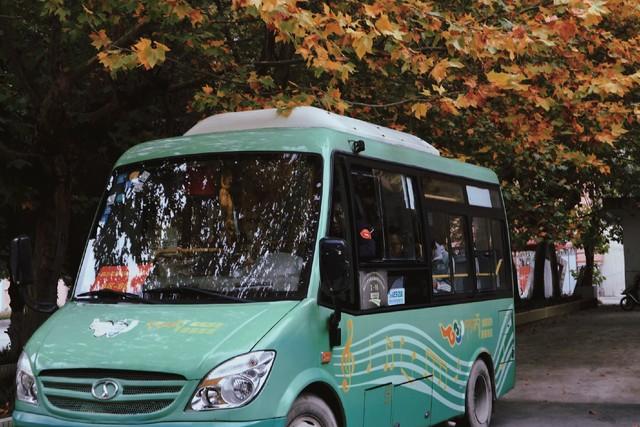 署期游“点燃”文旅新活力：开启文化旅游的新篇章