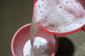 尝试用茶籽麸洗头，效果怎样？还需一段时间图片