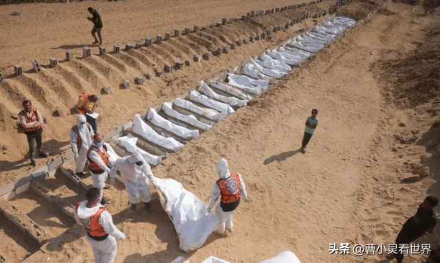 高市早苗或遭国际逮捕令	，拟购以色列屠杀无人机，乱碰军工产业