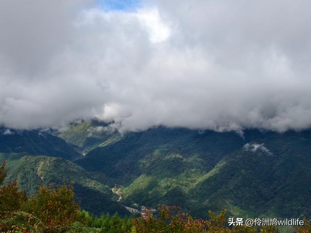 四川行(73)什邡红枫岭徒步到钟鼎寺