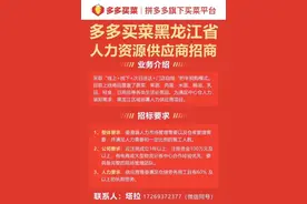 多多买菜春招火热开启：黑龙江多多买菜虚位以待，职等你来图片