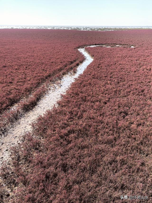 2025辽宁赏秋之旅日记(5)——从本溪前往盘锦 游览红海滩景观