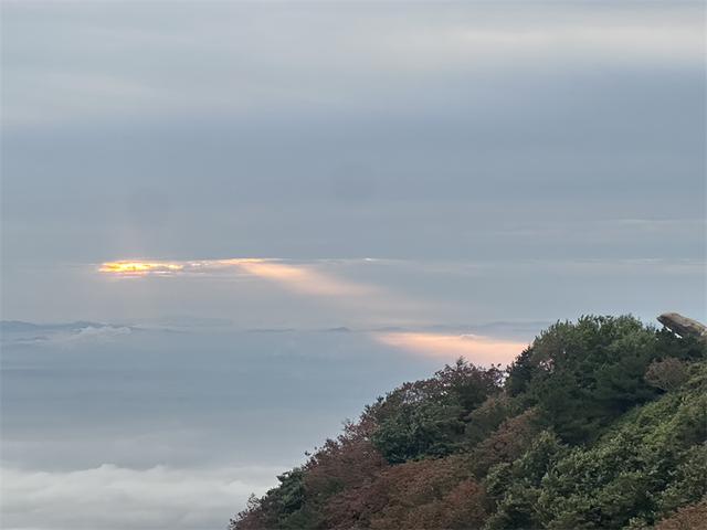 秋雨润泰山 云海漫山峦