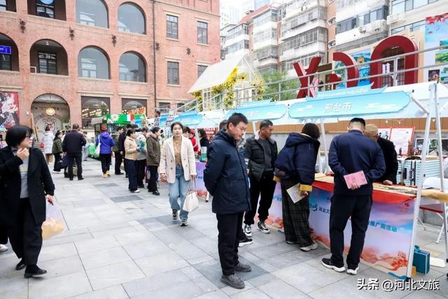 南皮非遗津门绽放 运河风邂逅海河情引热潮