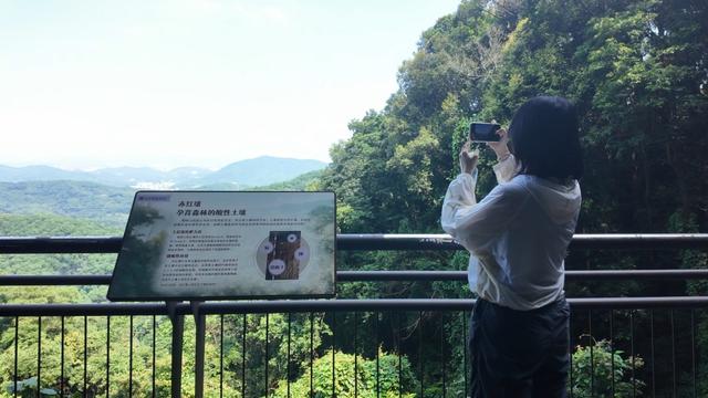 帽峰山森林文化步道完成升级，新增人性化设施迎国庆