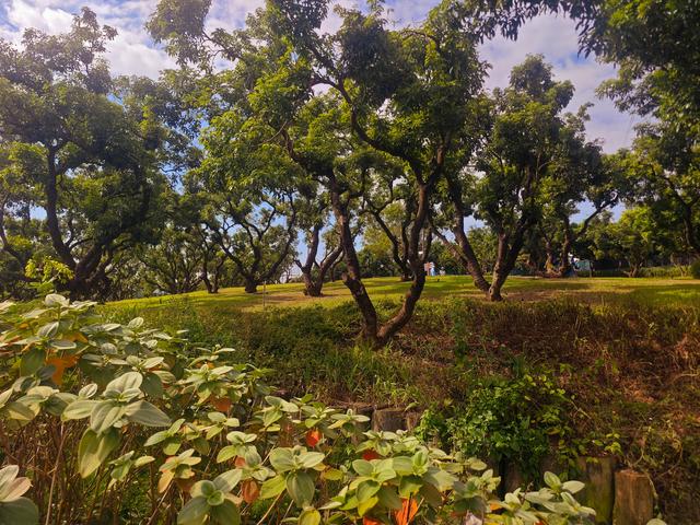 环西丽湖绿道骑行慢行随拍-动个好奇心