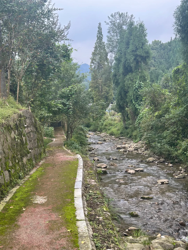 成都1.5h直达的冷门徒步秘境，小众景美独享山野！
