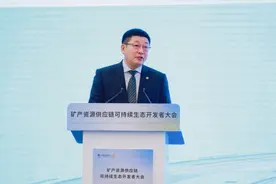 【进博会特别报道】郭斌：全球矿产资源产业链供应链正面临新一轮重构图片