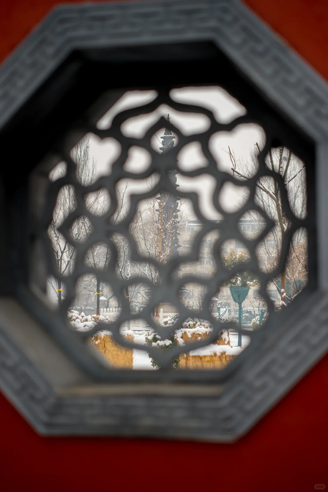 下雪啦！快去打卡聊城初雪限定皮肤！