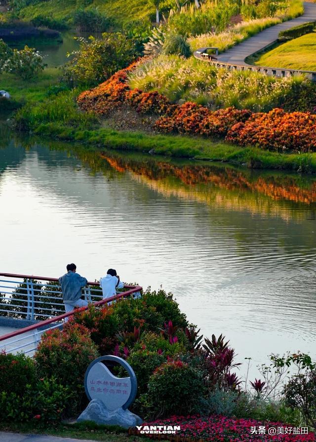 发现深圳“阿勒泰”这些机位的人，真是天才！