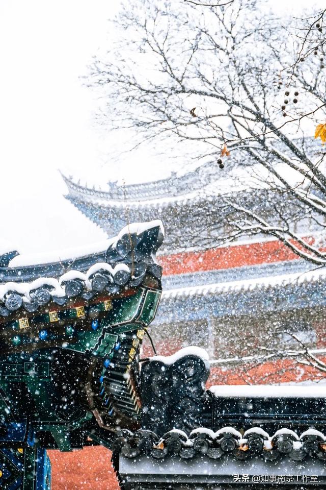 南京的这些瞬间，藏着让人舍不得离开的理由