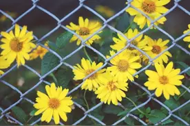 男人突然消失了，原因只有一个图片