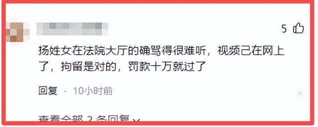 黑的你洗不白!央视点名的临沂农妇被罚10万案，不会反转再反转