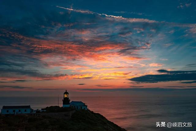 冬日寡淡？NO！看，花鸟岛的缤纷藏不住啦！