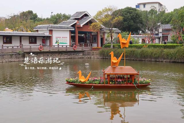 宁波镇海推出新的菊花展，5个赏菊地连成一条线，堪称史上最美