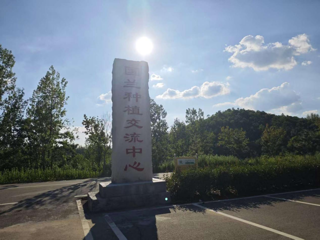 桐柏县大河镇：“兰香小镇”启惠民公交专线 城乡联动绘兰旅融合新篇