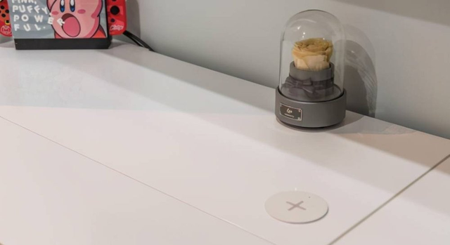 38平米的小家，客厅餐厅衣帽间卧室一个不少，一人一汪住超舒服