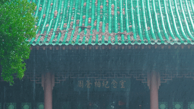 狂降10℃，武汉最凉快的一周，这样玩