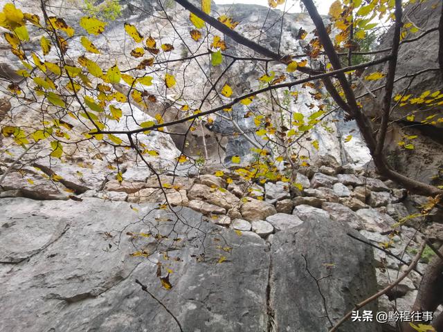 寻找一个最为艰难的躲匪洞，我难到达，土匪也难以到达