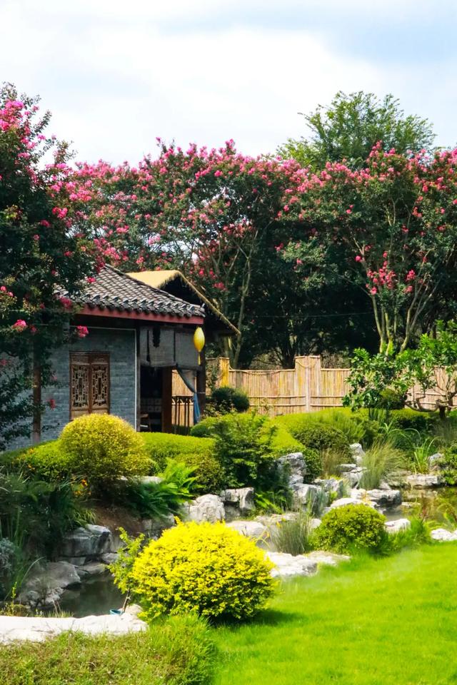 郫都这片“百日红”花海进入最美时刻！免费入园，错过等一年！