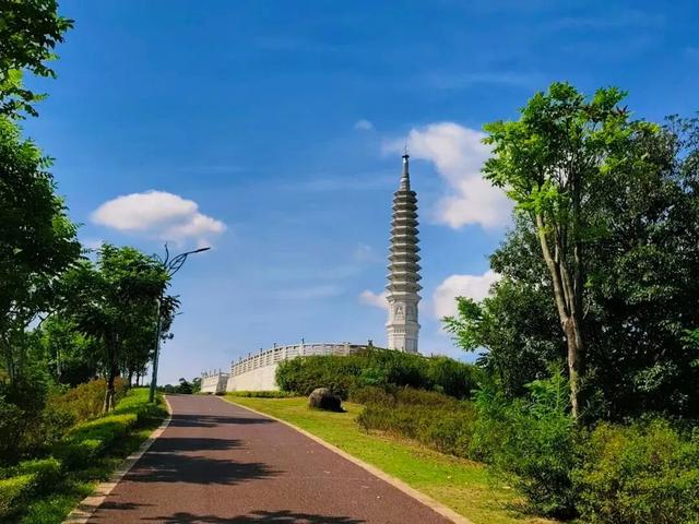 重阳登高何处去？安溪邀您赏花踏秋，解锁「茶山+云海」双景模式