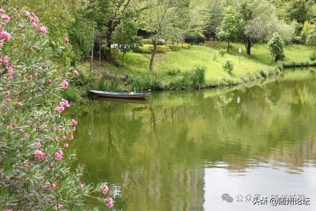 文化公园：筑牢安全堤坝，守护游客平安