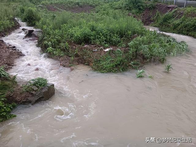 70多岁的老娘像个拼命三郎,一个人在雨天漫步拥抱大自然感觉不错