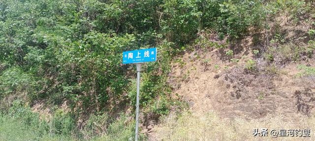 双苑、上国安寺小环线