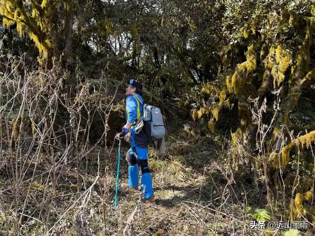 新年登高、祈愿美好，攀登富民金铜盆山，我们用徒步迎接2026