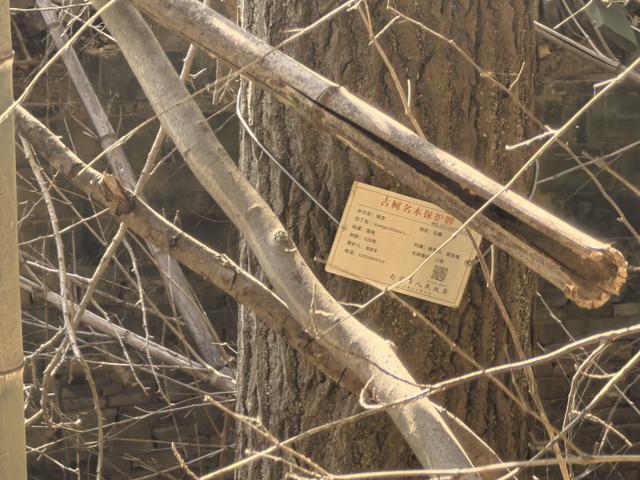 南京第二次到镇江武岐山空青山郊野徒步