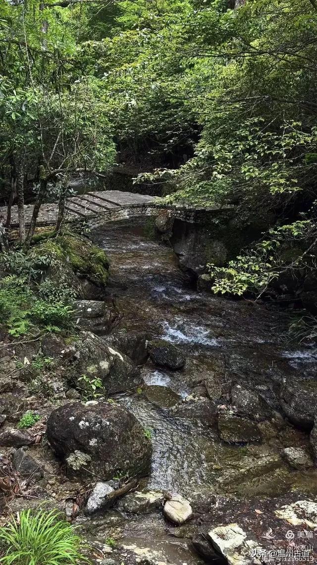 真正的小众避暑胜地！这方秘藏于千米高山之上的清凉秘境等你来！