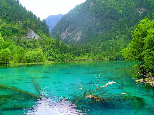 四川旅游：三游人间仙境九寨沟（图）