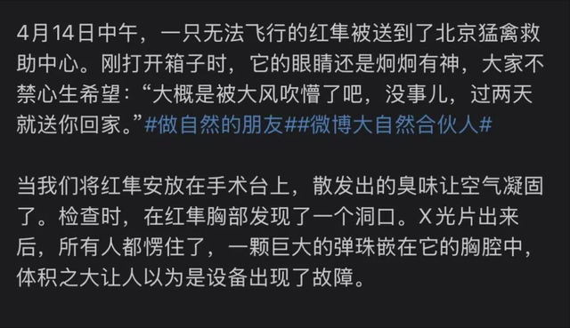 1只就判！北京一学校发现1只受伤，体内有颗巨大泥丸，没救过来