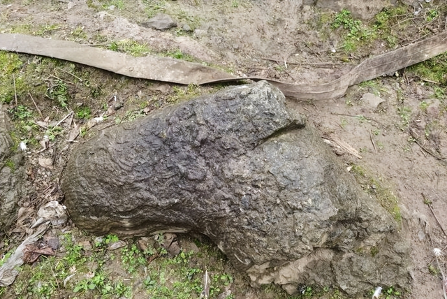 遵义湄潭：遵湄古道上的节孝牌坊