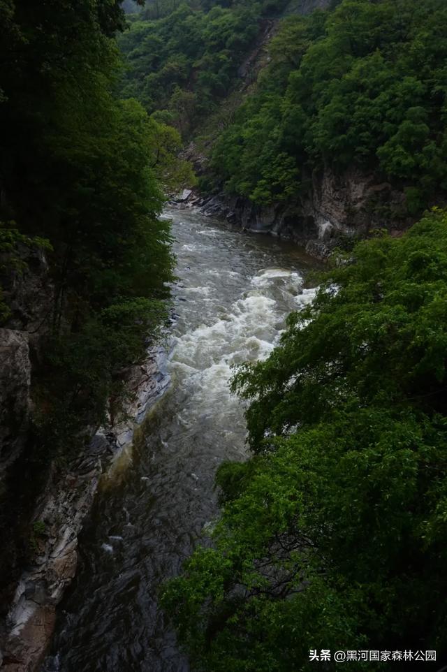 来一场「云赏黑河」之旅！听雨观山，神游林海