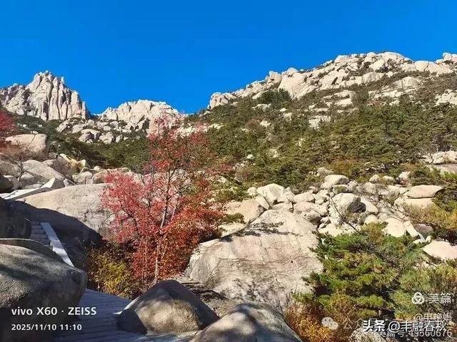 青岛崂山华严寺:山海间的禅意清响|申艳娟