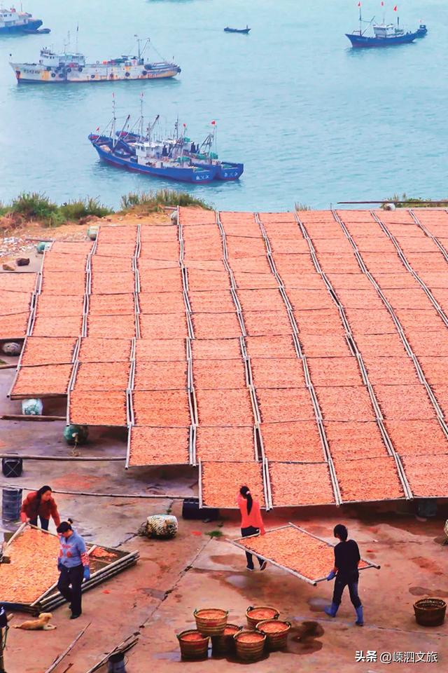 就在嵊山岛！多彩冬日，非拍不可了！