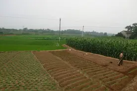 无地农民盼望分地，2027年会重新划分承包地吗？一号文件这样说图片