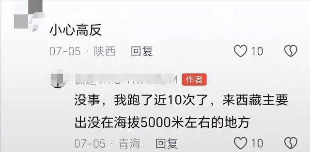 41岁老板西藏自驾游去世！事业成功、有钱有闲，疑太过自信害了他