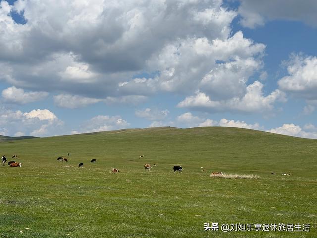 呼伦贝尔大草原不走寻常路，看最美的莫尔格勒河九曲十八弯